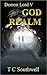 God Realm (Demon Lord, #5)