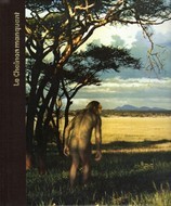 The Missing Link (Hardcover)