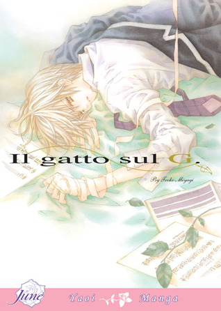 Il Gatto Sul G 1 (Paperback)