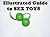 Illustrated Guide to SEX TOYS