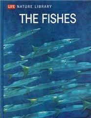 The Fishes (Hardcover)