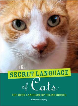 The Secret Language of Cats - The Body Language of Feline Bodies (Paperback)