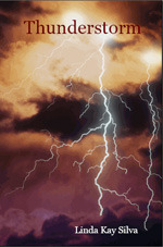 Thunderstorm (Delta Stevens, #7)
