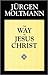 The Way of Jesus Christ: Ch...