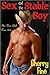 Sex and the Stable Boy