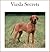 Vizsla Secrets: How to Raise Happy and Healthy Vizslas