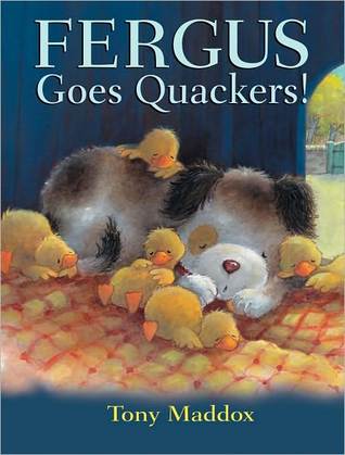 Fergus Goes Quackers! (Hardcover)