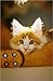All About Cats - A Complete Guide to Cat Breeds and Their Care