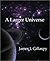 A Larger Universe