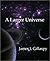 A Larger Universe