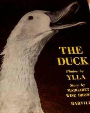 The Duck (Library Binding)
