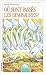 Où sont passés les dinosaures? (Roman Jeunesse, #24)
