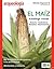 El maíz. Catálogo visual (Especial Arqueología Mexicana n. 38)