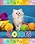 Colors