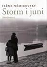 Storm i juni