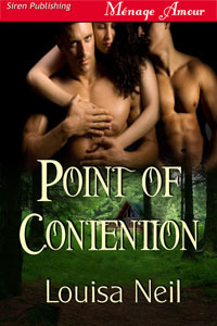 Point of Contention (Kindle Edition)