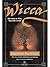 Wicca by Raymond Buckland