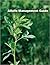 Alfalfa Management Guide