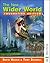 The New Wider World: Founda...