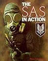 SAS in Action