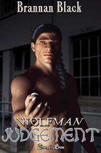 Judgement (Wolfman #3)