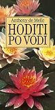 Hoditi po vodi