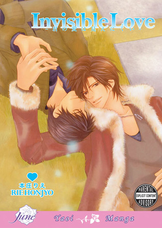 Invisible Love (Paperback)