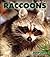 Raccoons by Patrick Merrick