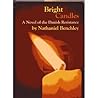Bright Candles: a novel of the Danish resistance