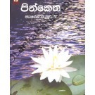 පින්කෙත (Paperback)