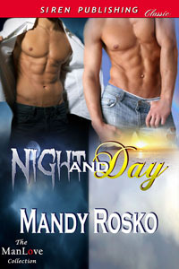 Night and Day (Night and Day, #1)