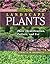 Landscape Plants