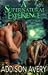 A Supernatural Experience by Addison Avery