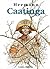 Caatinga by Hermann Huppen