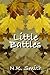Little Battles (Old Wounds,...