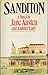Sanditon. A novel by Jane Austen and Another Lady by Jane Austen