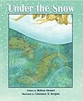 Under the Snow