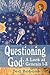 Questioning God: A Look At ...