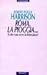 Roma, la pioggia... A che cosa serve la letteratura?