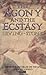 The Agony and the Ecstasy by Irving Stone The Agony and the Ecstasy by Irving Stone