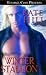Winter Stallion (Horsemen, #4)