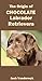 The Origin of Chocolate Labrador Retrievers
