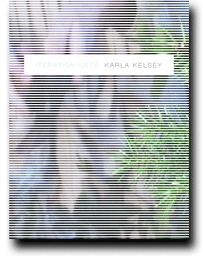 Iteration Nets (Paperback)