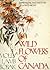 Wild flowers of Canada: Impressions and Sketches of a Field Artist