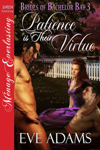Patience is Their Virtue (Brides of Bachelor Bay, #3)
