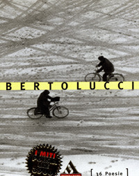 36 poesie