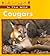 Cougars (In the Wild)