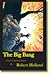 The Big Bang