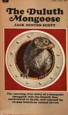 The Duluth Mongoose