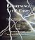 Lightning Literature and Co...